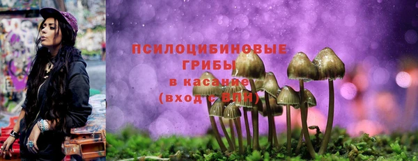 каннабис Алзамай