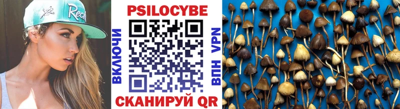 Галлюциногенные грибы мицелий  Таруса 
